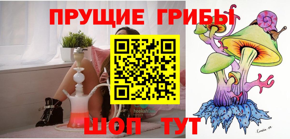 Псилоцибиновые грибы Psilocybe  Вход с VPN  Белореченск 